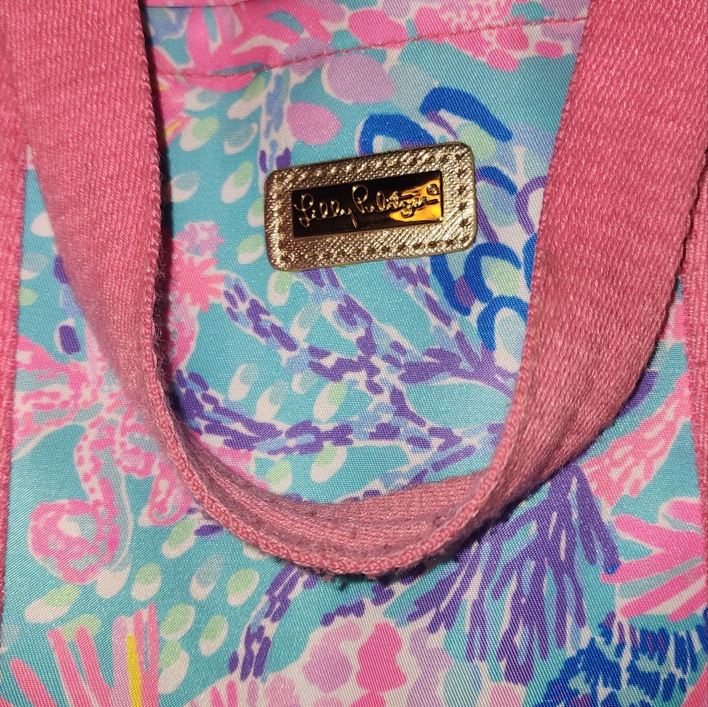 Lunch Tote